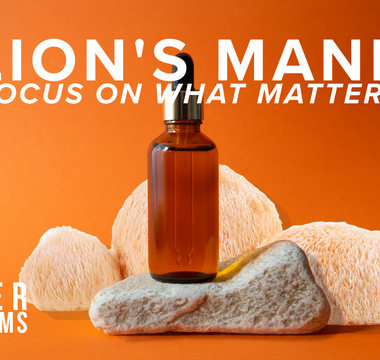 Why Lion’s Mane Mushroom Tincture Is the Brain Boost You Didn’t Know You Needed