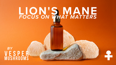 Why Our Mushroom Extracts Are Water-Soluble (and Why That Matters More Than Oil)
