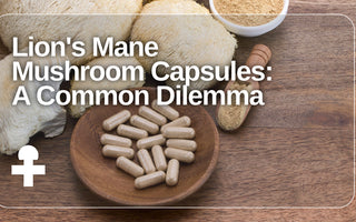 lion's mane mushroom capsules