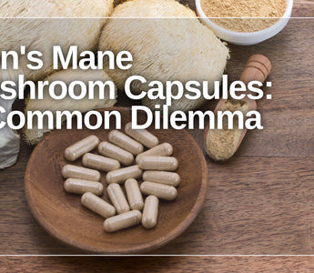 lion's mane mushroom capsules