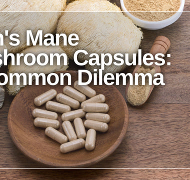 lion's mane mushroom capsules