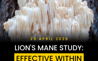 A New Study Suggests Lion’s Mane May Improve Brain Function Within Minutes