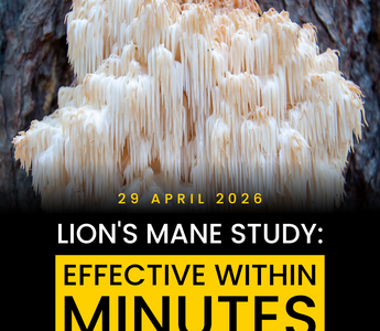 A New Study Suggests Lion’s Mane May Improve Brain Function Within Minutes