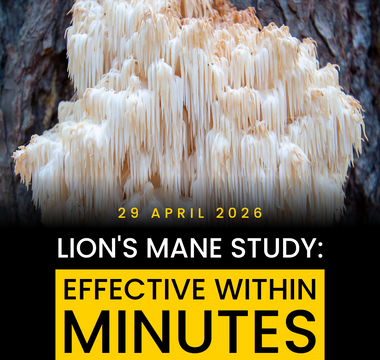 A New Study Suggests Lion’s Mane May Improve Brain Function Within Minutes