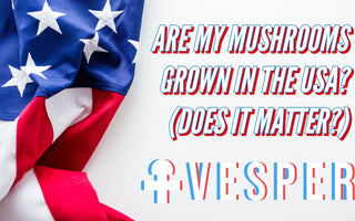 MADE IN THE USA: WHY SHOULD I CARE WHERE MY MUSHROOMS ARE GROWN? - VESPER MUSHROOMS