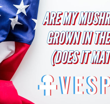MADE IN THE USA: WHY SHOULD I CARE WHERE MY MUSHROOMS ARE GROWN? - VESPER MUSHROOMS