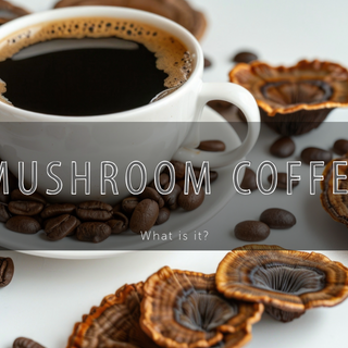 Mushroom Coffee Benefits: Why This Trend Is Brewing Up a Health Revolution