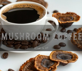 Mushroom Coffee Benefits: Why This Trend Is Brewing Up a Health Revolution