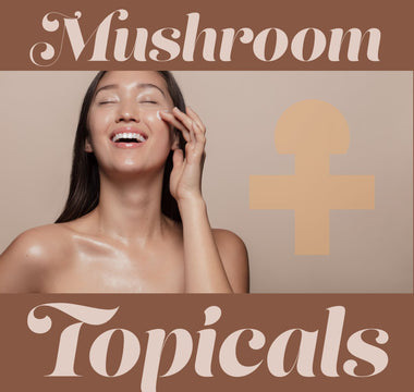 Mushroom Topicals - What Do Mushrooms Do for Your Skin - VESPER MUSHROOMS