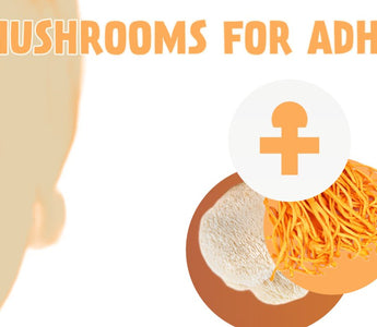 Mushrooms for ADHD - VESPER MUSHROOMS