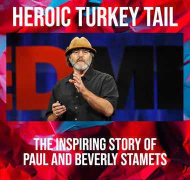 The Remarkable Mushroom Hero - Turkey Tail - VESPER MUSHROOMS