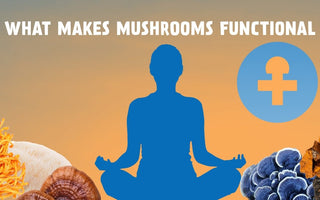 The Rise of Functional Mushrooms: What Does It Mean for a Mushroom to Be Functional? - VESPER MUSHROOMS