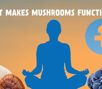 The Rise of Functional Mushrooms: What Does It Mean for a Mushroom to Be Functional? - VESPER MUSHROOMS