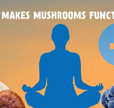 The Rise of Functional Mushrooms: What Does It Mean for a Mushroom to Be Functional? - VESPER MUSHROOMS