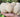 The Surprising Health Benefits of Lion's Mane Mushroom - VESPER MUSHROOMS
