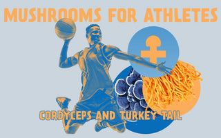 Turkey Tail and Cordyceps: The Best Mushrooms for Athletes - VESPER MUSHROOMS