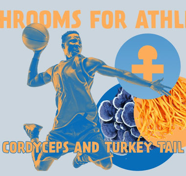 Turkey Tail and Cordyceps: The Best Mushrooms for Athletes - VESPER MUSHROOMS