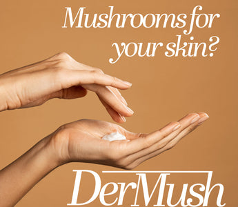 How to Use Mushroom Topicals: Chaga, Reishi & Snow Mushroom for Skin
