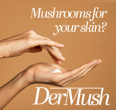 How to Use Mushroom Topicals: Chaga, Reishi & Snow Mushroom for Skin