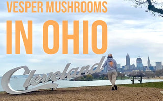 Vesper Mushrooms in Ohio - Our Time to Shine in Cleveland and Cincinnati - VESPER MUSHROOMS