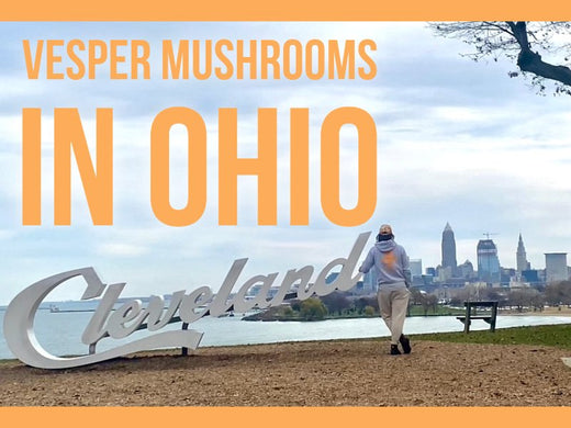 Vesper Mushrooms in Ohio - Our Time to Shine in Cleveland and Cincinnati - VESPER MUSHROOMS