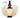 Lion’s Mane Side Effects – What to Know Before You Start