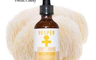 Lion’s Mane Side Effects – What to Know Before You Start