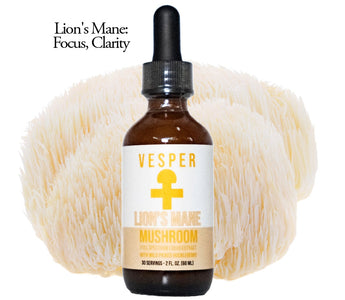Lion’s Mane Side Effects – What to Know Before You Start