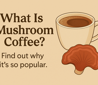 Blog thumbnail showing a warm cup of mushroom coffee with a reishi mushroom, highlighting article on what mushroom coffee is, its benefits, taste, and popularity.