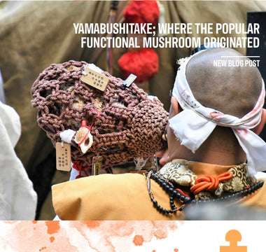 Yamabushi Monks, Using Lion's Mane Through the Ages - VESPER MUSHROOMS