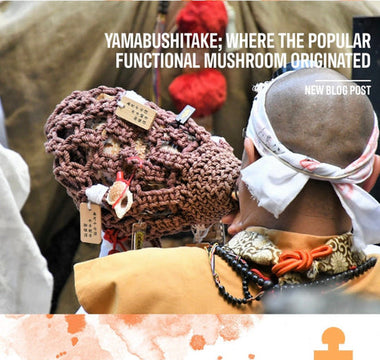 Yamabushi Monks, Using Lion's Mane Through the Ages - VESPER MUSHROOMS