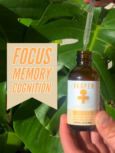 liquid mushroom extract, vesper mushrooms, lion's mane mushroom focus