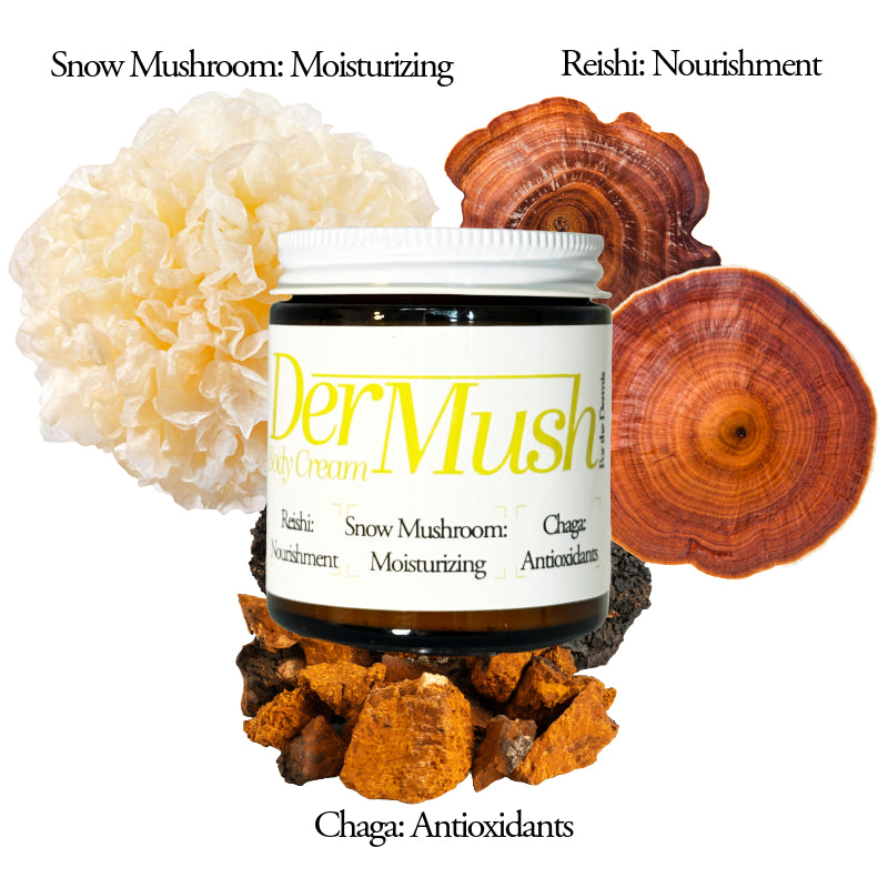 Dermush body cream four oz tremella, reishi, chaga topical benefits