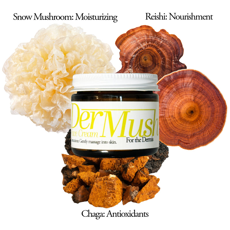 Dermush face cream two oz tremella, reishi, chaga mushroom topical benefits