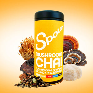 Mushroom Chai, Spour powder, mushroom extract blend photo with reishi, chaga, lion's mane, turkey tail, cordyceps mushroom coffee