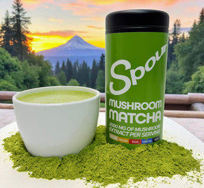 Spour - Matcha - Adaptogenic Mushroom Matcha Mix