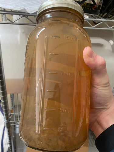 dual extract mushrooms image, vesper mushrooms
