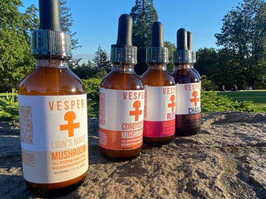 Lion's Mane Liquid Double Extract with Wild Huckleberries 2oz./60ML - VESPER MUSHROOMSvespermushrooms