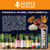 vesper liquid mushrooms, mushroom extracts, functional fungi, vesper