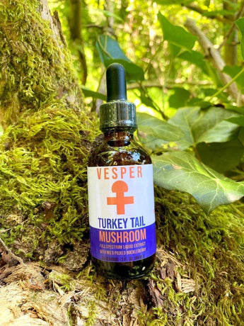 Turkey Tail Liquid Double Extract with Wild Huckleberries 2oz./60ML - VESPER MUSHROOMSvespermushrooms