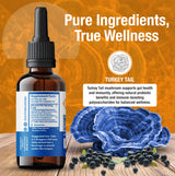 turkey tail tincture, prebiotics, prebiotic supplement, 