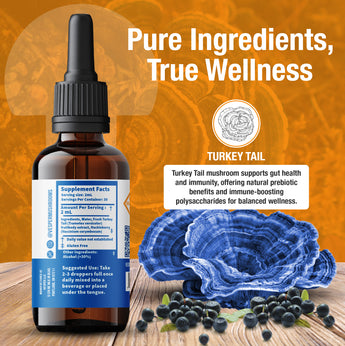 turkey tail tincture, prebiotics, prebiotic supplement, 