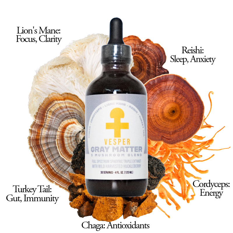 Gray Matter 5 Mushroom Blend - Spagyric  (4oz./120ML) W - VESPER MUSHROOMS