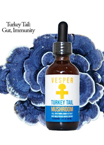 Turkey Tail extract