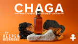 Royal Bundle - Reishi and Chaga Liquid Mushroom Extracts - VESPER MUSHROOMS