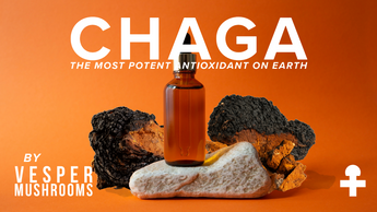 Royal Bundle - Reishi and Chaga Liquid Mushroom Extracts - VESPER MUSHROOMS