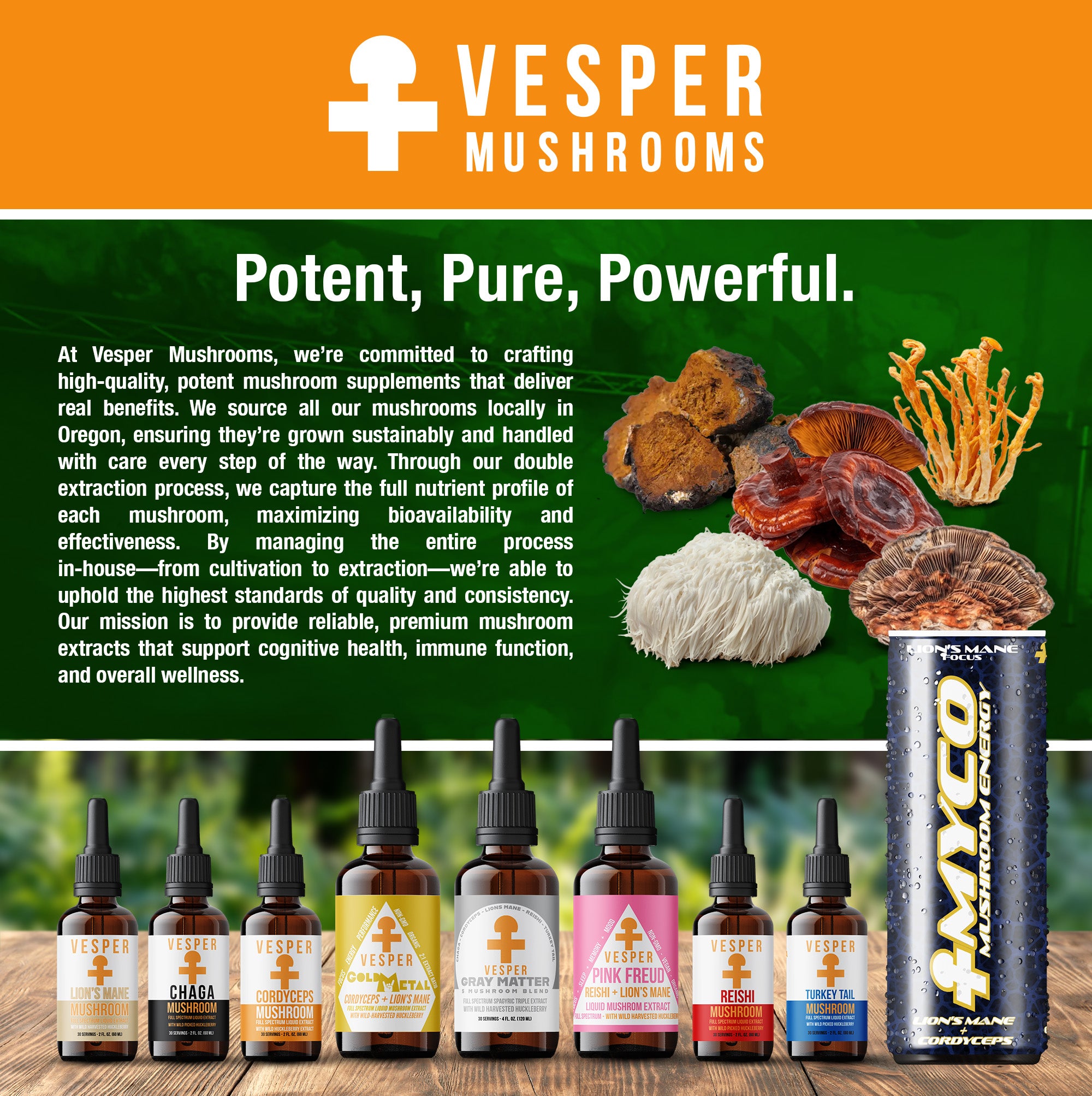 Skinflammation Bundle - Chaga and Dermush Body Cream - VESPER MUSHROOMS