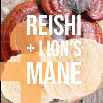 Pink Freud Reishi and Lion's Mane Blend - (4oz./120ML) - VESPER MUSHROOMSMushroom Extract Blendsvespermushrooms