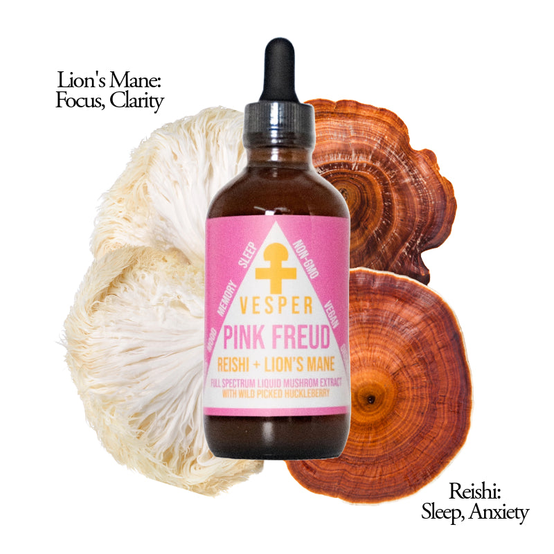 best mushrooms for sleep, reishi liquid extract, lion's mane extract, mushrooms for focus, reishi extract, liquid mushrooms