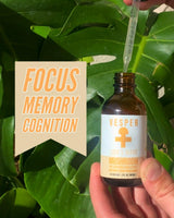 Elixir Bundle - Lion's Mane and Chaga Liquid Double Extract - VESPER MUSHROOMSMushroom Extract Bundlesvespermushrooms